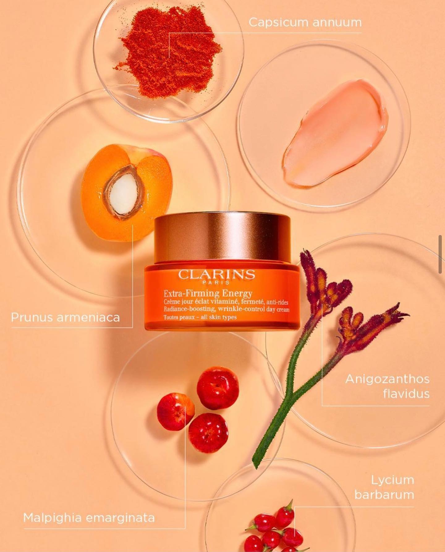 Clarins Extra Firming Energy Radiance Boosting Wrinkle Control Day Cream